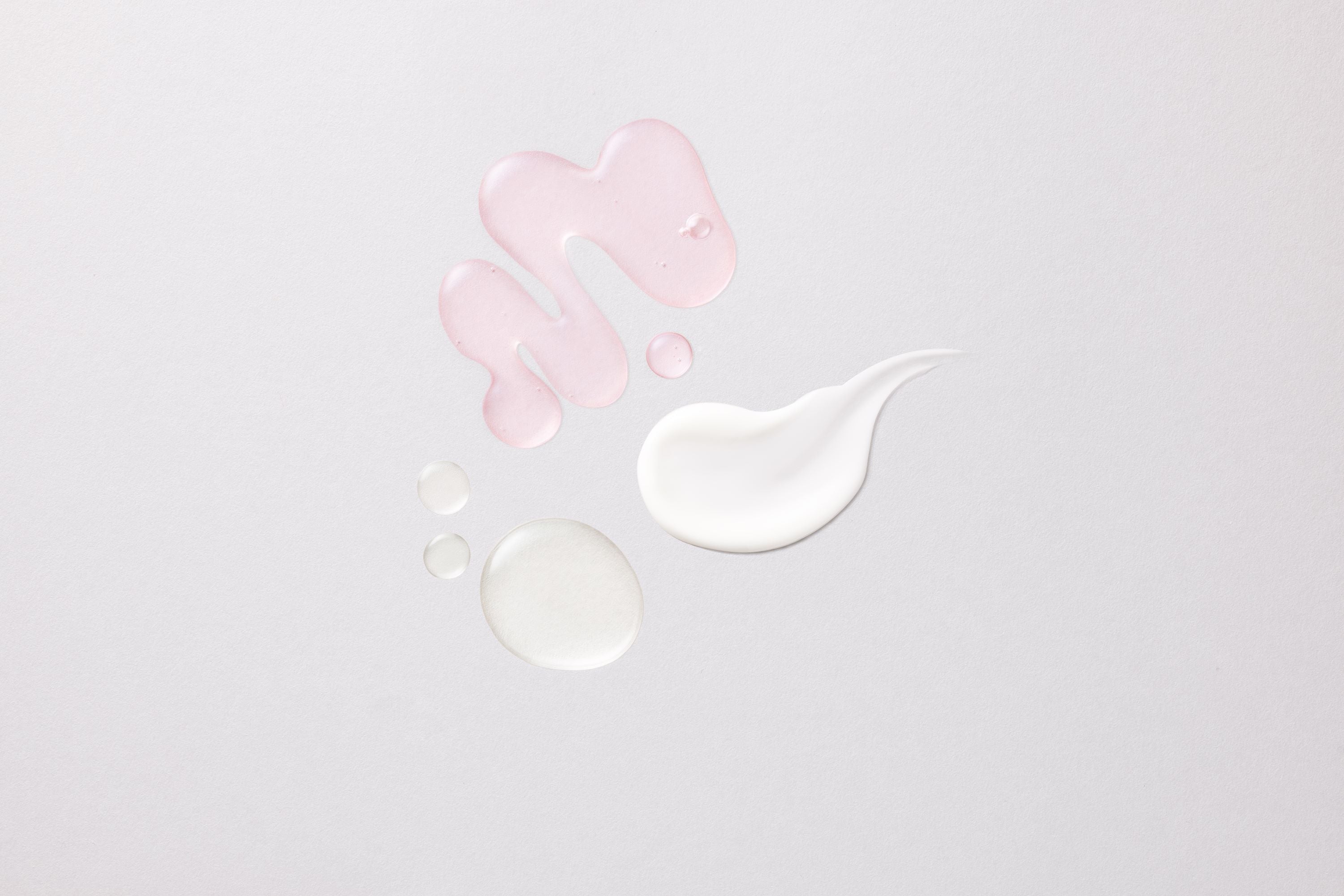 WHAMISA- Mini Kit Découverte Fleurs Bio Fermentées